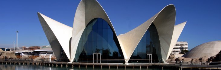 Aquarium Oceanografic Valencia bezoeken Oceanografic, aquarium, valencia, spanje, vakantie