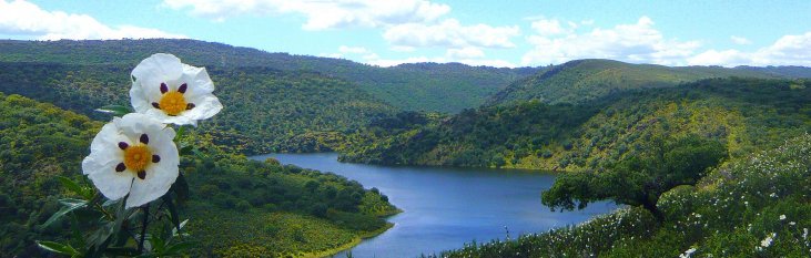 Parque Nacional de Monfraque monfraque, spanje, park