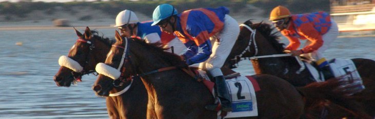 Paardenraces Sanlucar paarden, race, sanlucar