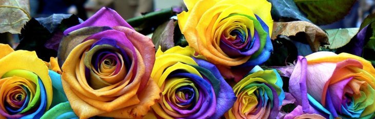 Sant Jordi Festival Barcelona rozen, bloemen
